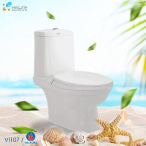 Bon cau Viglacera VI107